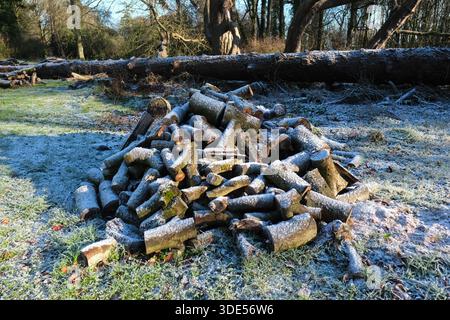 Winter cut log pile with frozen frost Stock Photo