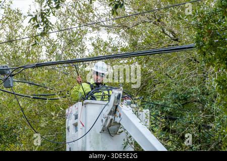 New Orleans, LA, USA - December 16, 2025: Safety helmet wearing worker from Cox Cable Company making cable repairs from a lift along the tree line in Uptown Neighborhood Stock Photo