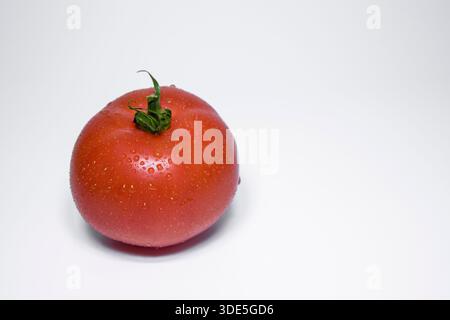 Ripe Red Georgian Tomato with Water Droplets – Studio Shot Stock Photo