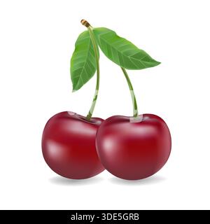 3d realistic vector icon illustration. Fresh red cherries with stem and leaf in one, two or three berries. Stock Vector