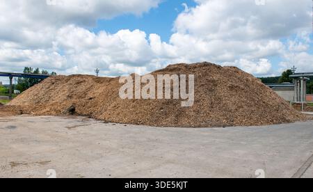 Wood Chips and Shavings on the Ground. Sawdust of Wood Processing Waste. Granulated Wooden Fuel. Economical, Ecological Fuel. Stock Photo
