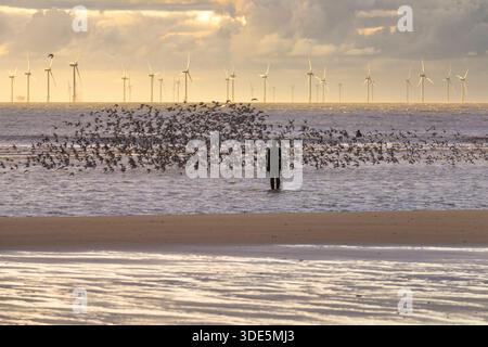 The art installation, Another Place, by Antony Gormley at Crosby Beach, Liverpool, England, United Kingdom Stock Photo