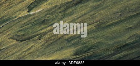 Abstract Dark Green and Gold Painted Texture Background with Metallic Brush Strokes Stock Photo