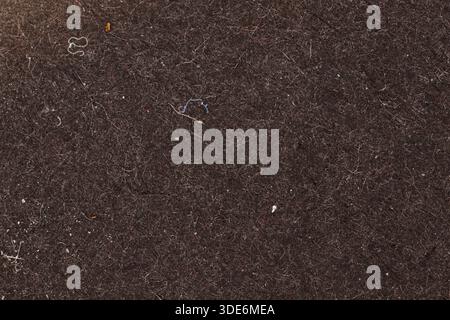 Dark felt texture showing fibers and small bits of lint and dust Stock Photo