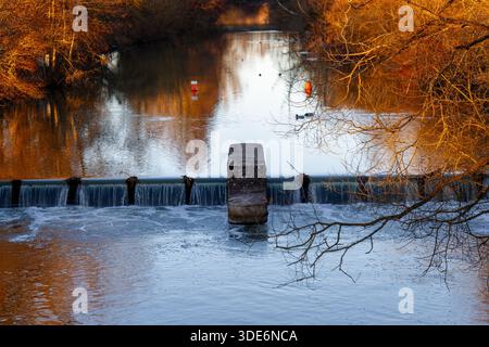 Autumn trees reflecting on flowing river water over a small weir at sunset Stock Photo
