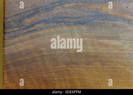 Walnut wood grain displays a natural brown and blue textured surface Stock Photo