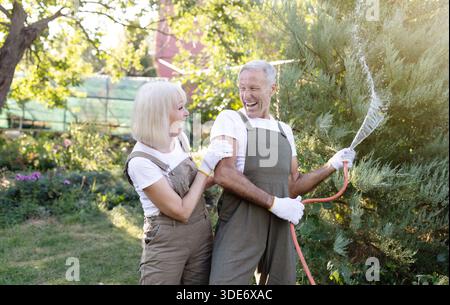 Playful senior spouses having fun while watering plants with hose, gardening together in their courtyard Stock Photo