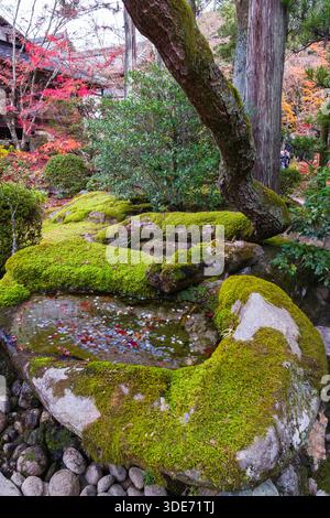 Tranquil water feature on the grounds of Tenjuan Buddhist temple showcases the harmonious blend of nature and design. Moss-covered rocks Stock Photo