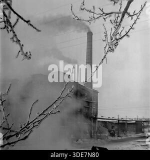 Slaviansk, Donetsk region, Ukraine, USSR. Early 1950s archival winter photo. Artistic framing of the Red Metalworker (Krasny Metallist) plant through tree branches heavy with white hoarfrost. A tall brick chimney releases smoke into the overcast sky, blending with the industrial steam rising from the ground. A lone silhouette of a worker walks along the snowy path near the factory workshops. This medium format square image captures the quiet yet powerful atmosphere of the industrial center of a peaceful Donbas during the post-war recovery years. Stock Photo