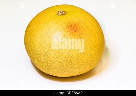 Yellow Pomelo with sliced isolated on white background. Clipping path. Stock Photo