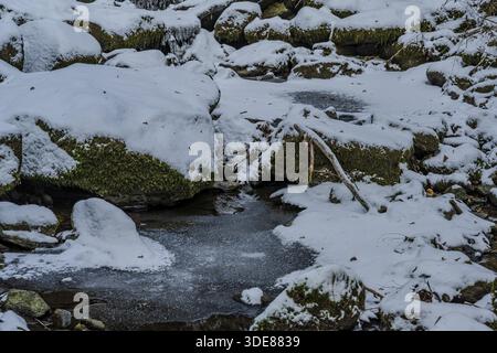 A small stream flows through a forest in winter. The ground and stones are covered with snow. Some ice rinks are visible on the water surface. Perlbac Stock Photo