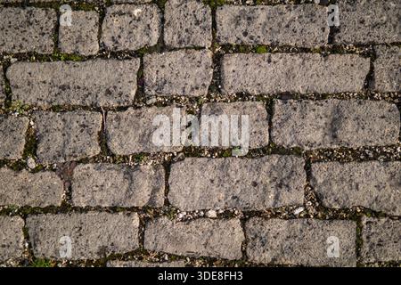 Close-up view of an old stone pavement made of rectangular cobblestones with visible moss and gravel in the joints. Stock Photo