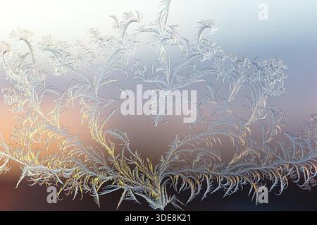 Perfectly symmetrical tree forming heart shape in frost ice crystals on window, illuminated by sunset orange gradient. Stock Photo