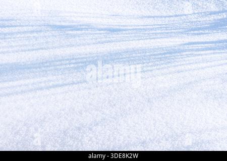 Wide view of sparkling snow field with long soft shadows in bright winter sunlight, abstract frosty surface texture, minimal natural background for se Stock Photo