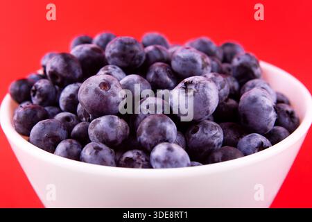 Blueberries on a macro scale. Dark berries in close-up. Ripe blueberries isolated on red. Healthy, natural fruit. Stock Photo