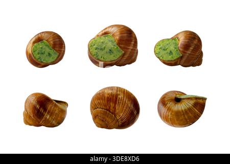Six escargot shells filled with herb butter, isolated on white background. High resolution, ideal for culinary and restaurant concepts. Stock Photo