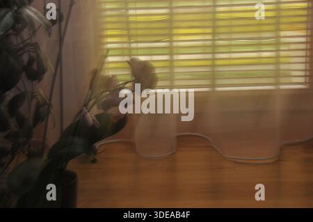 Gentle sunshine streams through sheer curtains, casting a warm glow on a vase of fresh flowers placed near a window. The setting feels peaceful and in Stock Photo