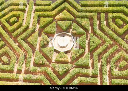 Aerial view of a geometric hedge maze., fountain Stock Photo