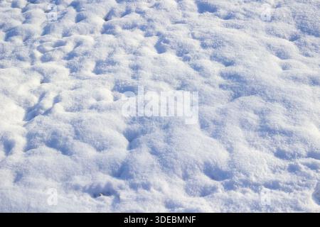 Uneven snow surface. Small holes in the snow. Snow background with a blue tint. Stock Photo