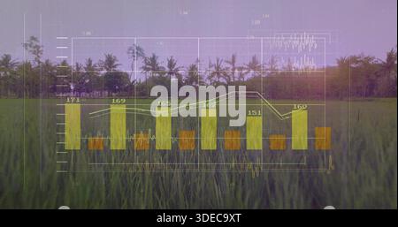 Displaying translucent data overlay showing orange bars and white line over paddy, palms at sunrise Stock Photo