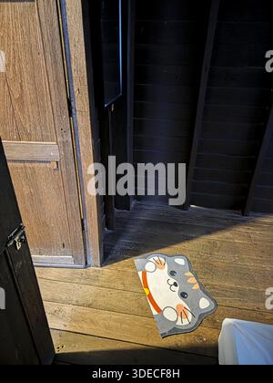 Cozy wooden interior featuring cute cat mat on hardwood floor basking in warm sunlight reflecting serene peaceful home atmosphere Stock Photo