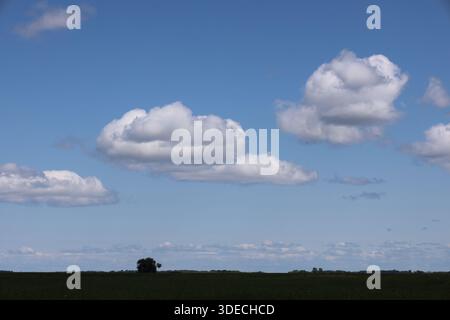 puffy white clouds in deep blue summer sky above natural tall grass prairie (landscape) Stock Photo