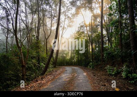 Divine sunbeams piercing through the misty forest at Wat Tha Ton in Northern Thailand Stock Photo