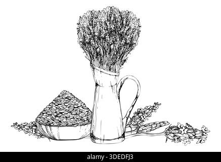 Enamel jug of Fresh cut lavender, clay bowl of dry seeds, single lavandula flower stalks. Isolated illustration hand drawn in vector ink. Invitations Stock Vector