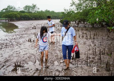 Children and adult explore muddy mangrove forest, walking through swamp, engaged in educational nature adventure. Stock Photo