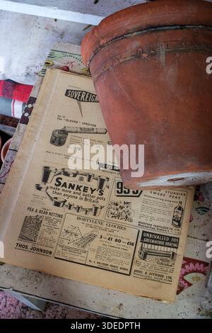 Old magazine advert for Sankey, the well known terracotta pot manufacturers Stock Photo