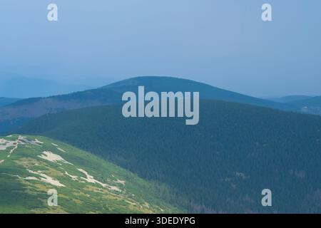 Scenic panoramic view of rolling green mountain ridges and pine forests in Krkonoše National Park, Czech Republic, seen from Sněžka summit Stock Photo