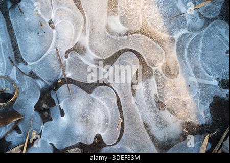 Cool shades and shimmering highlights evoke serene frozen scene Stock Photo