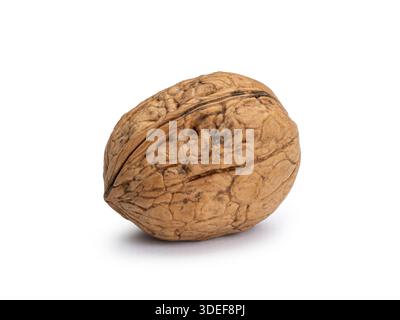 Whole single organic walnut with its shell isolated. Isolated on white background. Stock Photo