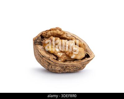Walnut kernel resting in its opened shell, isolated on white background Stock Photo
