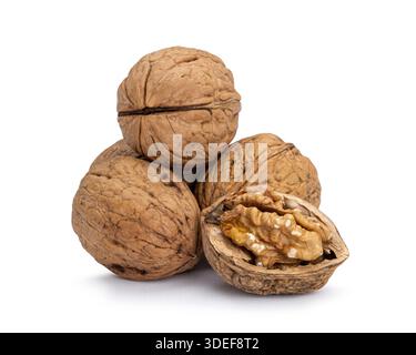 Walnuts with one cracked open revealing the edible kernel on a white background Stock Photo
