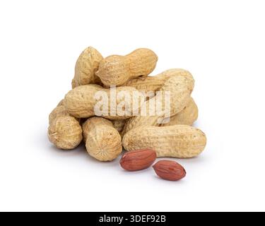 Peanuts with shells and two peeled nuts forming a pile. Isolated on white background. Stock Photo