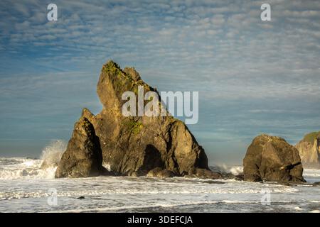 WA29005-00...WASHINGTON - Offshore rocks viewed at on the Pacific Coast at Ruby Beach. Stock Photo