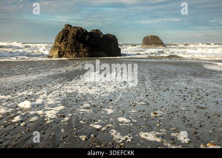 WA29008-00...WASHINGTON - Wind driven waves create foam on the beach in Olympic National Park. Stock Photo