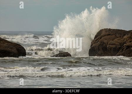WA29019-00...WASHINGTON - Incoming surf crashing on barnacle overed boulders at Beach 4 in Olympic National Park. Stock Photo