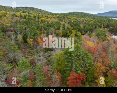 Aerial view of the autumnal forest painted in warm hues of red, orange, and yellow blending with the green trees, New London, New Hampshire, United St Stock Photo