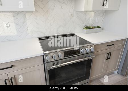 Shiny silver stove top oven with a black oven door sits on a white counter top. The oven is surrounded by cabinets and a potted plant Stock Photo
