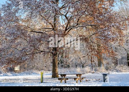 Beautiful winter scenery in Poissy forest on a sunny winters day. A picnic table under a tree in the snow Stock Photo