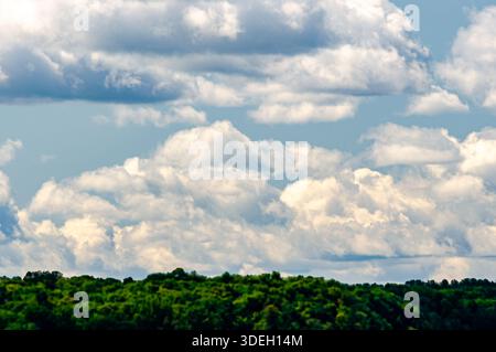 Panorama of a cloud filled sky over a green forest blurred in the foreground on a summer day. Stock Photo