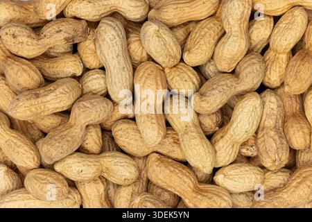 Peanuts with shells covering the entire frame, providing a natural food texture. Full frame macro shot. Stock Photo