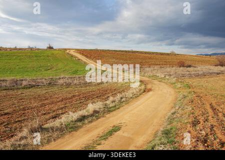 Country dirt road through the fields in early spring at sunset Stock Photo