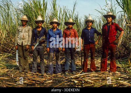 Migrant workers from the Mayan villages in the north of Guatemala working to bring in the sugar cane harvest at Santa Lucia Cotzmumalaguapa in the sou Stock Photo