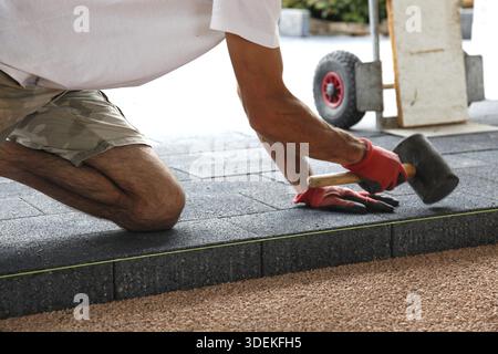 Hands of a worker laying paving, big concrete paver blocks, in motion with hammer in hand. Laying concrete paving slabs. Builder laying paving tiles i Stock Photo