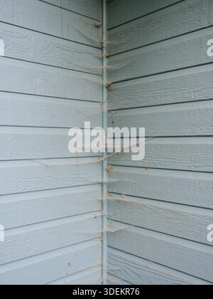 Light blue wooden facade with spider webs on vertical corner. Detailed natural texture shot. Copyspace. Stock Photo