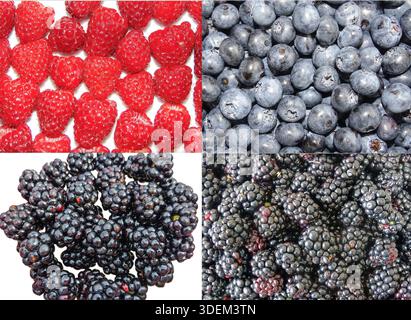 Collage with berries: raspberries, blackberries and blueberries Stock Photo