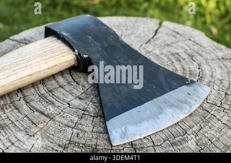 A blade of woodcutter ax with wooden handle closeup on old weathered tree trunk Stock Photo